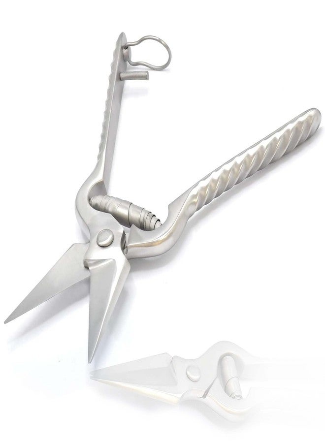 AAProTools Foot Rot Shears Sheep Cutters Animal Hoof Trimming Scissors Strong - Image 1